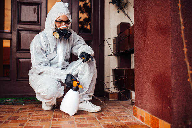 Reliable Cockroach Control contractor in Chowchilla, CA by Nex Pest Control